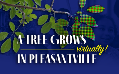 A Virtual Tree Blooms in Pleasantville