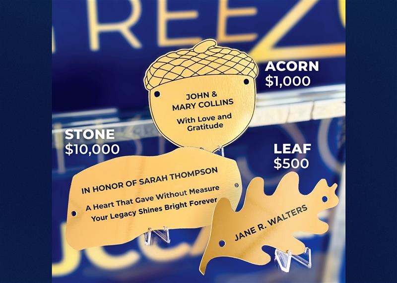 Donor Wall Inscription Levels